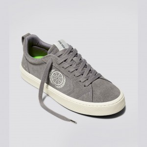 CATIBA PRO Cariuma Low Top Suede Damskie Szare | 582PCMZGJ