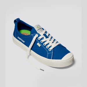 OCA LOW Cariuma Low Top Canvas Męskie Niebieskie | 043PAMEVN