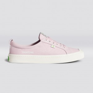 OCA LOW Cariuma Low Top Canvas Męskie Pale Lilac | 678EPNLKJ