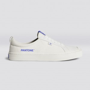OCA LOW Cariuma Low Top Płócienne Wegański Damskie Off-White / Very Peri Canvas | 285PAYIOT