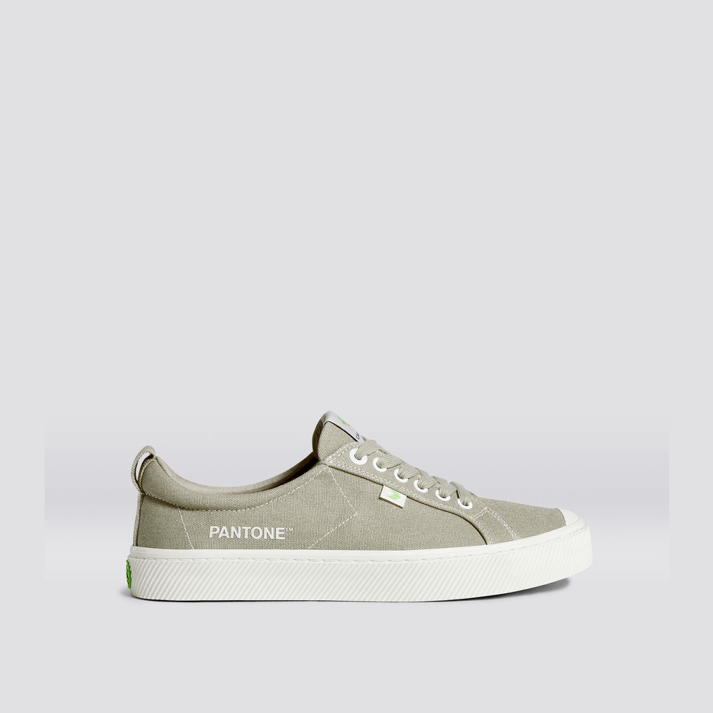 OCA LOW Cariuma Low Top Canvas Damskie Plaza Taupe | 169HEZQVR