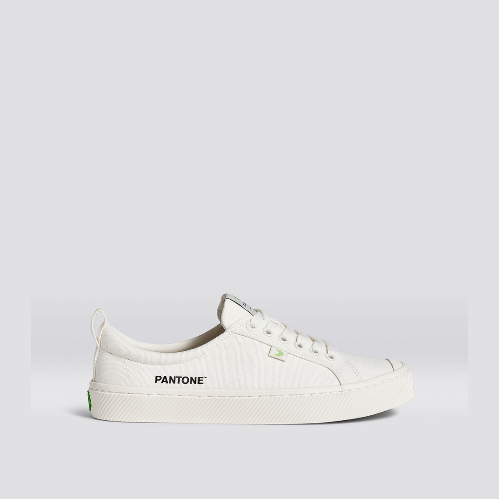 OCA LOW Cariuma Low Top Canvas Męskie Białe | 527XIVREK