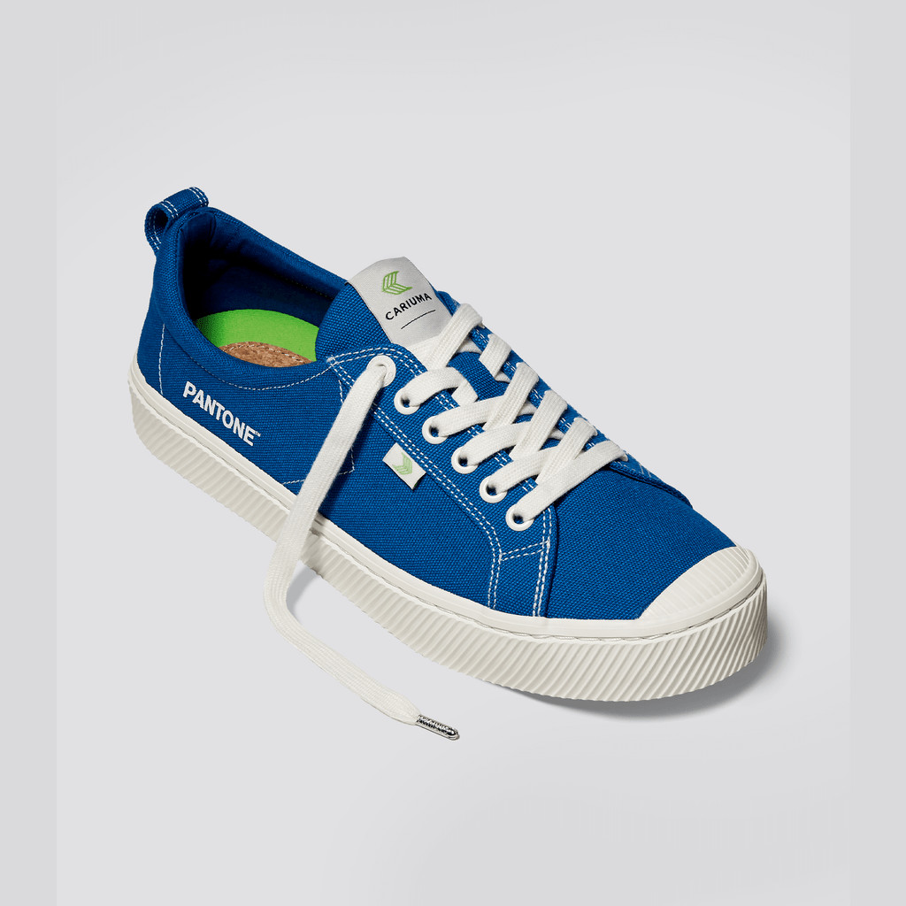 OCA LOW Cariuma Low Top Canvas Męskie Niebieskie | 043PAMEVN