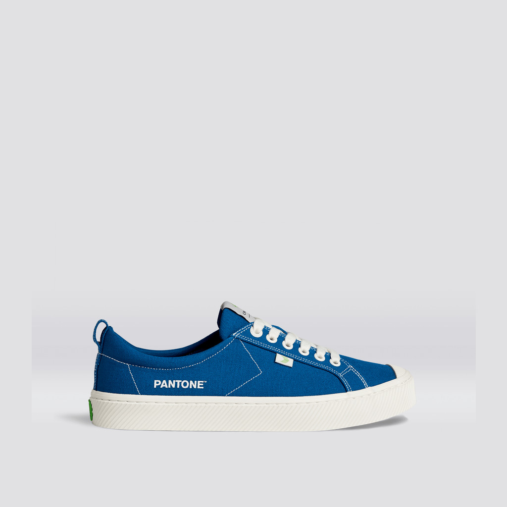 OCA LOW Cariuma Low Top Canvas Męskie Niebieskie | 043PAMEVN