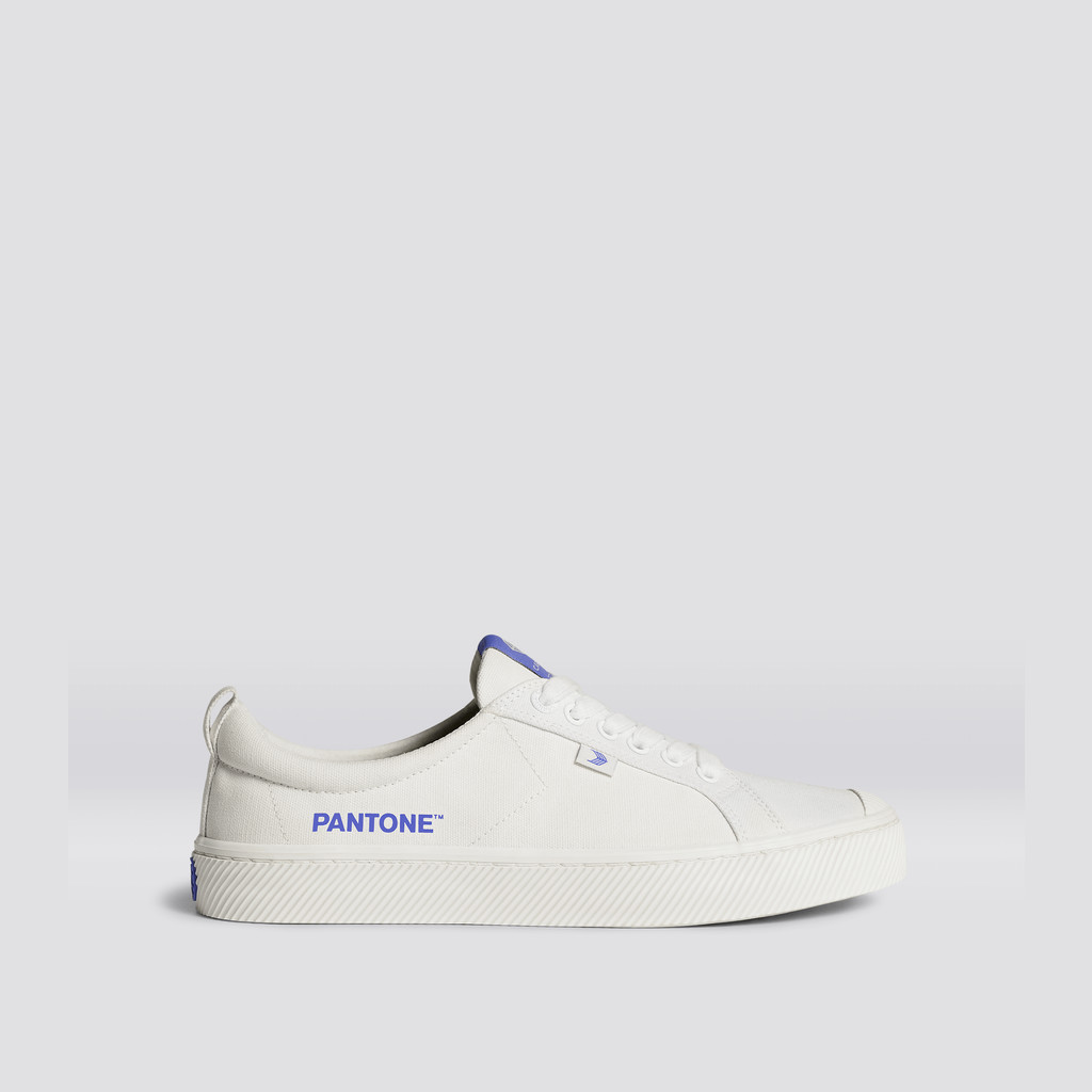 OCA LOW Cariuma Low Top Płócienne Wegański Damskie Off-White / Very Peri Canvas | 285PAYIOT